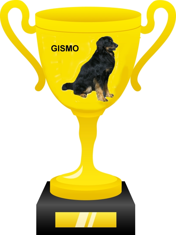Gismo