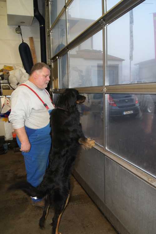 wachhund